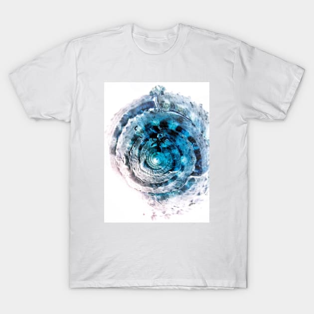 SEASHELL T-Shirt by MAYRAREINART